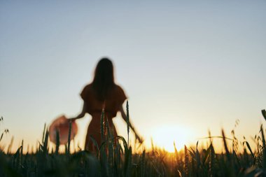 Genç kadın buğday tarlasında poz veriyor. 