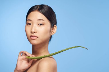 Genç güzel Asyalı kadın aloe vera yaprağıyla poz veriyor. 