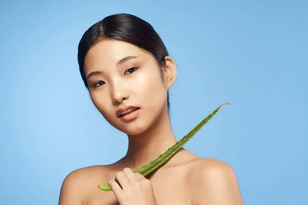 Joven Hermosa Mujer Asiática Posando Con Aloe Vera Hoja —  Fotos de Stock