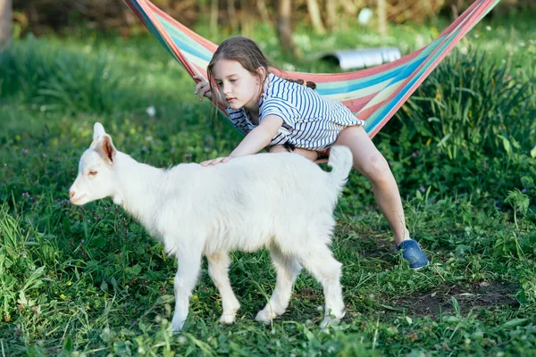 Menina Bonito Jogando Com Cabra Branca Gramado — Fotografia de Stock