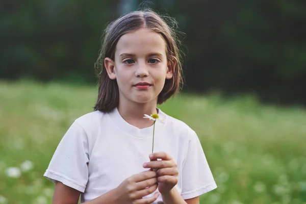 Młody Słodkie Dziewczyna Mając Zabawy Rumianku Pole — Zdjęcie stockowe