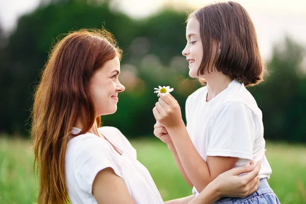 Jovem Mãe Sua Filha Divertindo Campo Camomila — Fotografia de Stock