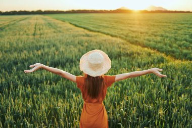 Gün batımında buğday tarlasında poz veren genç kadın.