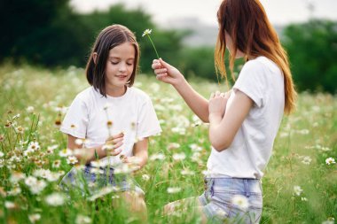 Genç anne ve kızı papatya tarlasında eğleniyorlar.