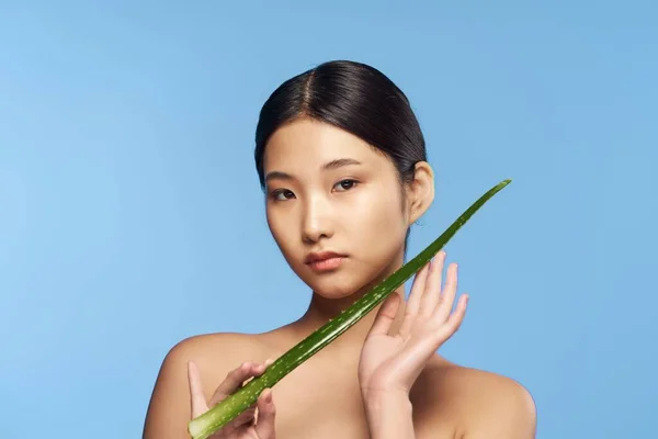 Joven Hermosa Mujer Asiática Posando Con Aloe Vera Hoja —  Fotos de Stock