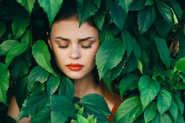 Ung Vacker Kvinna Poserar Med Löv Runt Ansiktet — Stockfoto