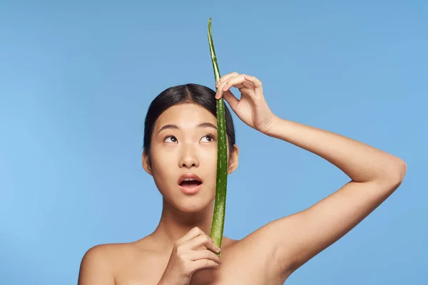 Ung Vacker Asiatisk Kvinna Poserar Med Aloe Vera Löv — Stockfoto