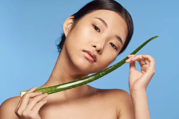 Young Asian Woman Aloe Leaf — Stockfoto