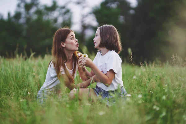 Giovane Madre Sua Figlia Divertirsi Sul Campo Camomilla — Foto Stock