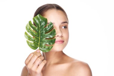 Stüdyoda yaprağıyla poz veren genç ve güzel bir kadın.