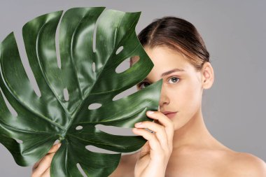 Stüdyoda yaprağıyla poz veren genç ve güzel bir kadın.