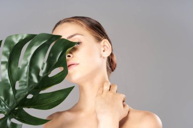 Stüdyoda yaprağıyla poz veren genç ve güzel bir kadın.