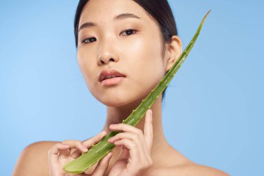 Genç güzel Asyalı kadın aloe vera yaprağıyla poz veriyor. 