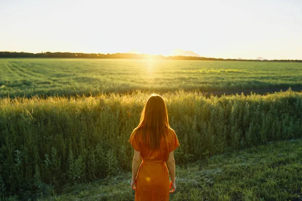 Jovem Mulher Bonita Campo Trigo Pôr Sol — Fotografia de Stock