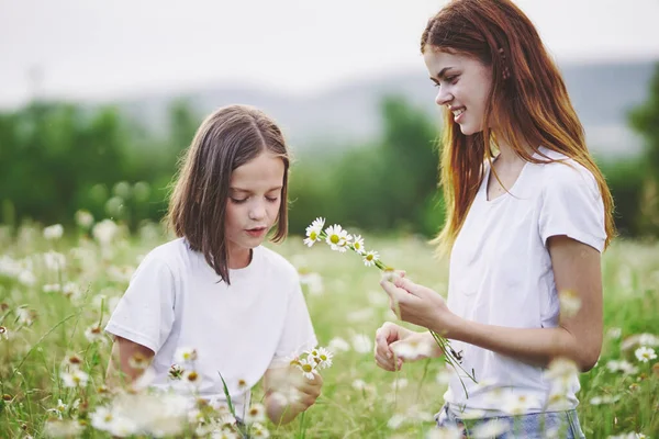 Young Mother Her Daughter Having Fun Camomile Field — Stock Photo, Image