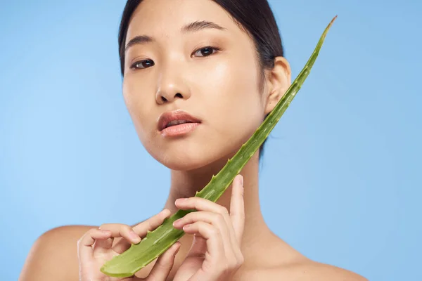 Joven Hermosa Mujer Asiática Posando Con Aloe Vera Hoja —  Fotos de Stock