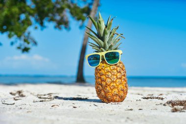  Tropik plajda ananas ve güneş gözlüğü.                   