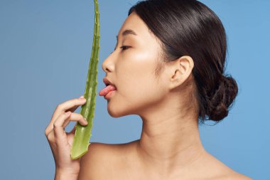 Genç güzel Asyalı kadın aloe vera yaprağıyla poz veriyor. 