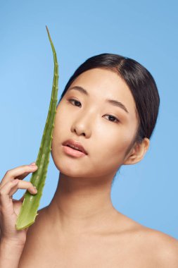 Genç güzel Asyalı kadın aloe vera yaprağıyla poz veriyor. 