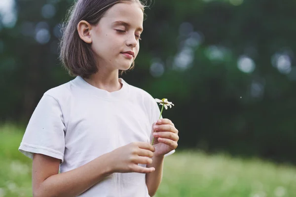 Jong Schattig Meisje Het Hebben Van Plezier Kamille Veld — Stockfoto