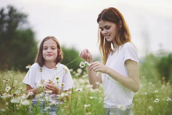 Young Mother Her Daughter Having Fun Camomile Field — Stock Photo, Image