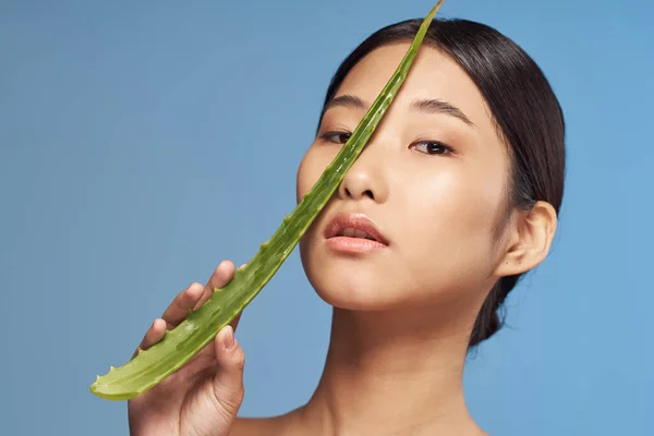 Joven Hermosa Mujer Asiática Posando Con Aloe Vera Hoja —  Fotos de Stock