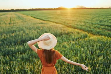 Gün batımında buğday tarlasında poz veren genç kadın.