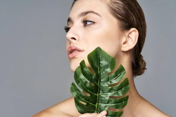 Jovem Modelo Bonito Posando Com Folha Estúdio — Fotografia de Stock