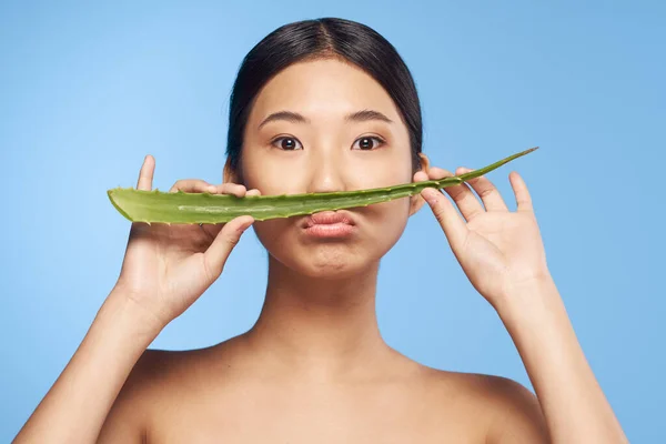 Joven Hermosa Mujer Asiática Posando Con Aloe Vera Hoja —  Fotos de Stock