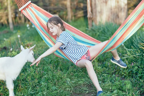 Menina Bonito Jogando Com Cabra Branca Gramado — Fotografia de Stock