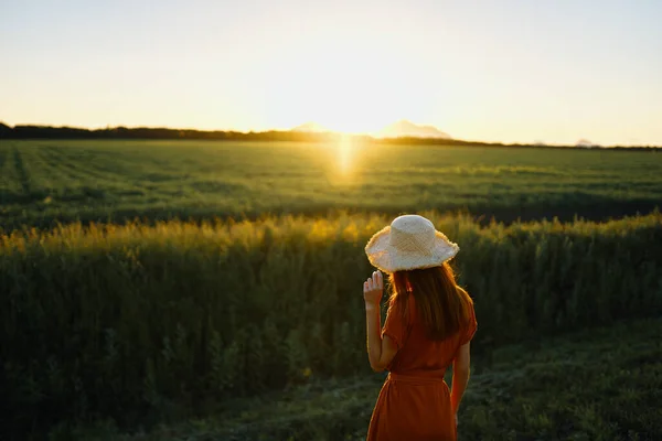 Young Woman Posing Wheat Field Sunset — Stock Photo, Image