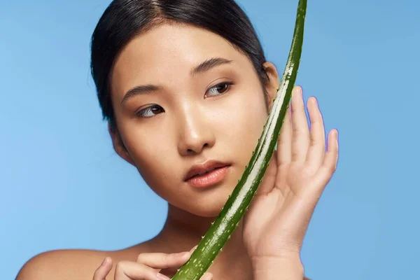 Joven Hermosa Mujer Asiática Posando Con Aloe Vera Hoja —  Fotos de Stock