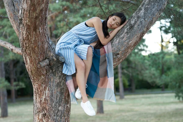 公園の木の上でリラックスしている若いアジア人女性 — ストック写真