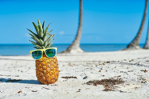  Tropik plajda ananas ve güneş gözlüğü.                   
