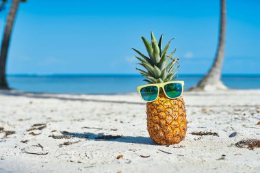  Tropik plajda ananas ve güneş gözlüğü.                   