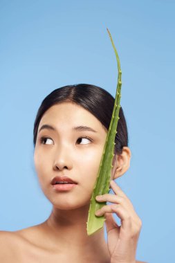 Genç güzel Asyalı kadın aloe vera yaprağıyla poz veriyor. 