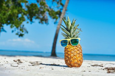 Tropik plajda ananas ve güneş gözlüğü.                   