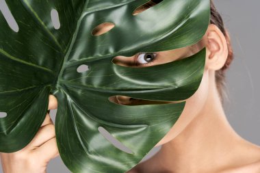 Stüdyoda yaprağıyla poz veren genç bir kadın.