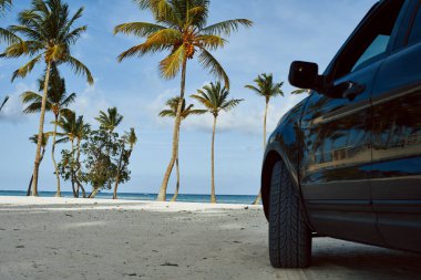        Güzel plajda palmiyeli bir araba.                         