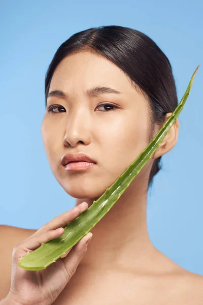 Hermosa Asiático Mujer Holding Aloe Vera Hoja —  Fotos de Stock