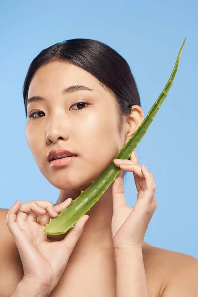 Joven Hermosa Mujer Asiática Posando Con Aloe Vera Hoja —  Fotos de Stock