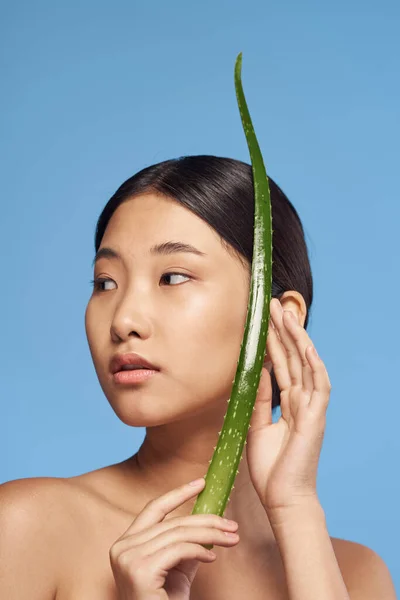 Joven Hermosa Mujer Asiática Posando Con Aloe Vera Hoja —  Fotos de Stock