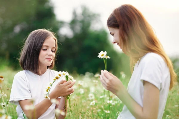 Junge Mutter Und Ihre Tochter Amüsieren Sich Auf Kamillenfeld — Stockfoto