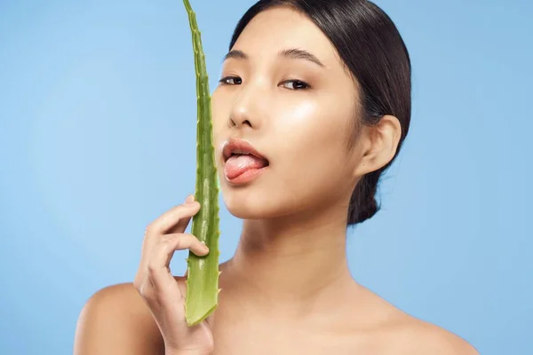 Jovem Bela Mulher Asiática Posando Com Aloe Vera Folha — Fotografia de Stock