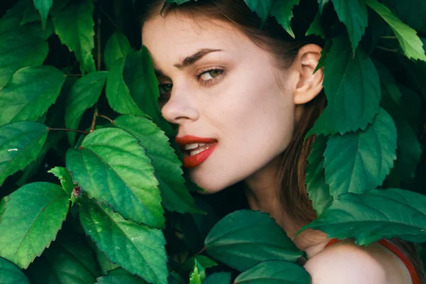 Yüzünde Yapraklarla Poz Veren Genç Güzel Bir Kadın — Stok fotoğraf