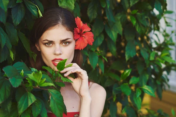 Νεαρή Όμορφη Γυναίκα Κόκκινο Λουλούδι Στον Κήπο — Φωτογραφία Αρχείου