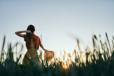 Gün batımında buğday tarlasında poz veren genç kadın.