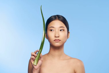 Genç güzel Asyalı kadın aloe vera yaprağıyla poz veriyor. 