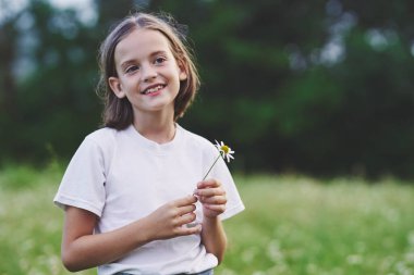 Genç tatlı kız papatya tarlasında eğleniyor.