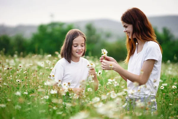 Young Mother Her Daughter Having Fun Camomile Field — Stock Photo, Image